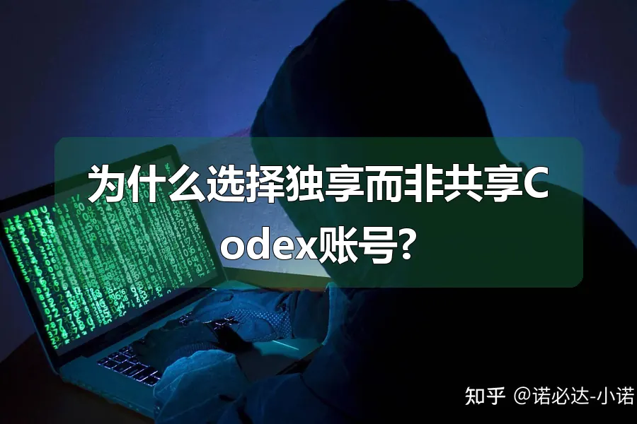 为什么选择独享而非共享Codex账号?