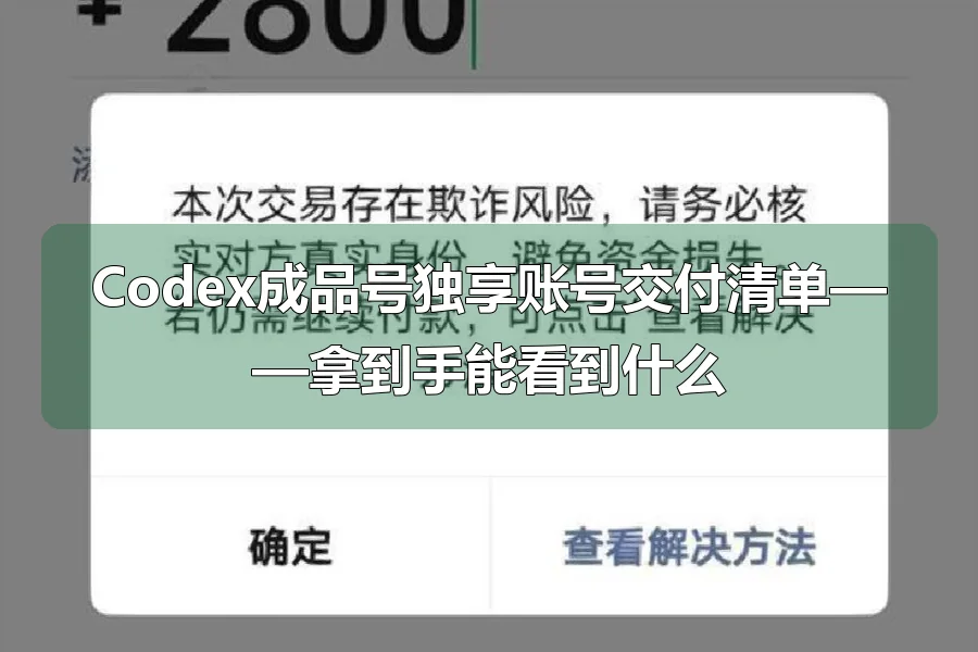 Codex成品号独享账号交付清单——拿到手能看到什么