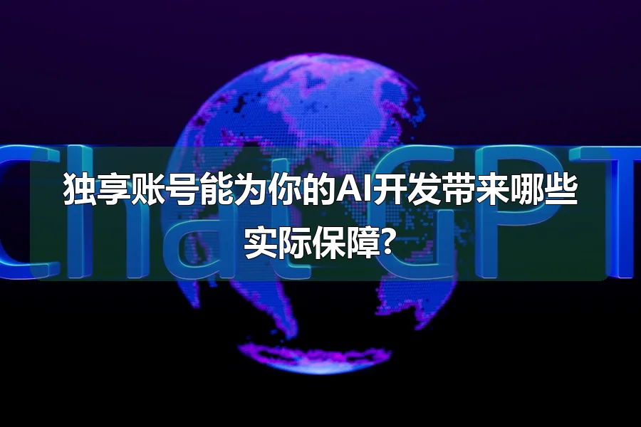 独享账号能为你的AI开发带来哪些实际保障?